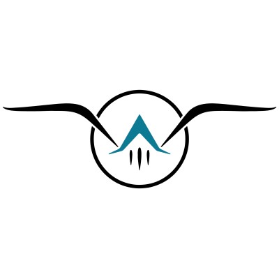 Nautical Wings Aerospace's Logo