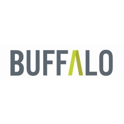 Buffalo Fundraising Consultants's Logo