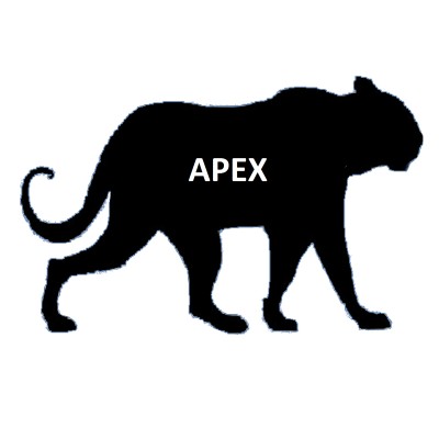 Apex Cybersecurity Solutions's Logo