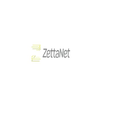 ZettaNet's Logo