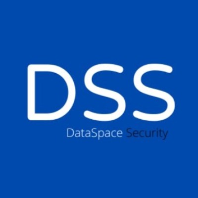 DataSpace Security's Logo