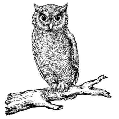 Owl PM's Logo