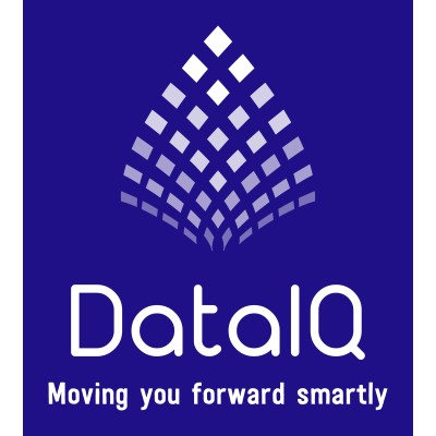 DataIQ Computer Systems Consultancies's Logo