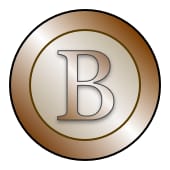 Bronze Construction Services's Logo