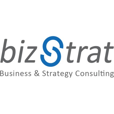 BizStrat Business & Strategy Consulting's Logo