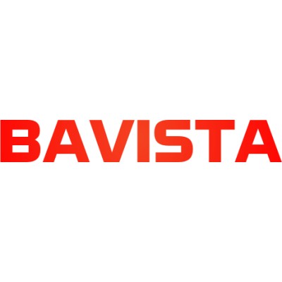 BAVISTA SOFTWARE INDIA PVT LTD's Logo