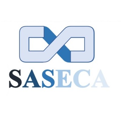 SASECA COLSULTANCY's Logo