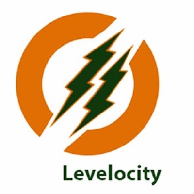 World Levelocity's Logo