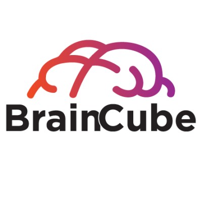 BrainCube Enterprise Solutions Pvt. Ltd.'s Logo