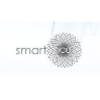 SMART ICE ITALY's Logo