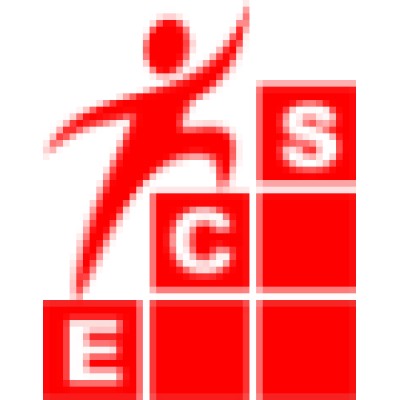 e-Centric Consultancy Services Pvt. Ltd.'s Logo