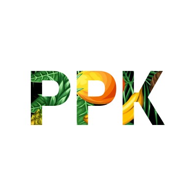 PPK IN Seoul's Logo