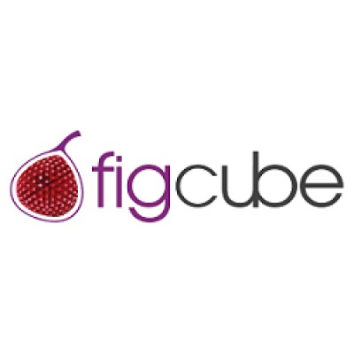 Figcube Solutions's Logo