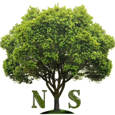 Natural Systems LLC's Logo