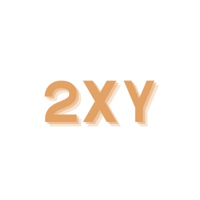 2xy Consultoria's Logo