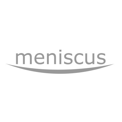 Meniscus Systems Ltd's Logo