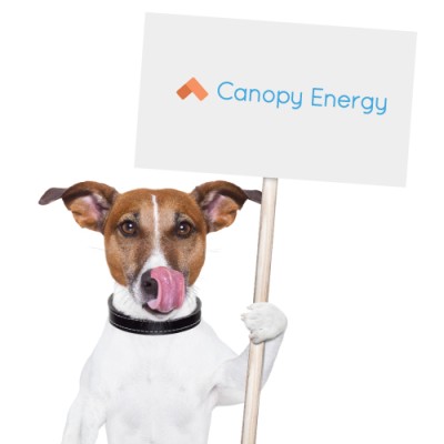 Canopy Energy's Logo