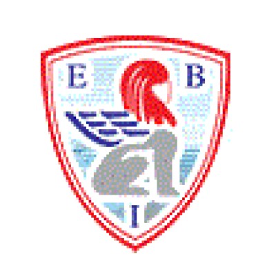 Egyptian Insurance Brokers's Logo