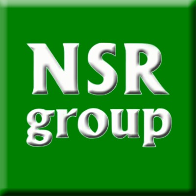 NSR GROUP - JAPAN: Next Step Resources for your HR and engineering staffing needs's Logo