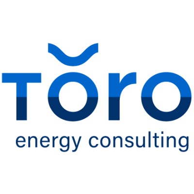 Toro Energy Consulting Logo