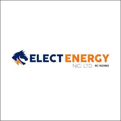 Elect Energy Nig. Ltd's Logo