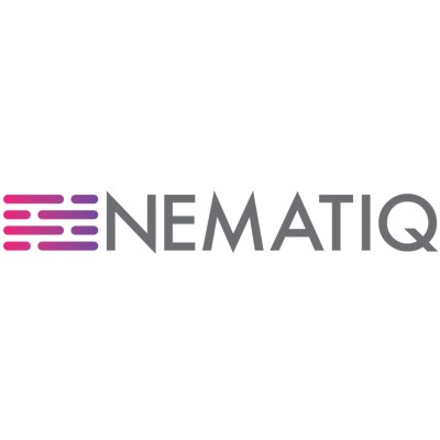 NematiQ's Logo