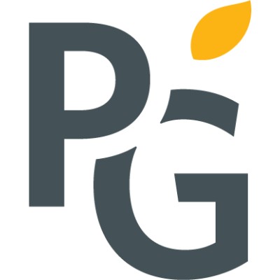 Palladium Group's Logo