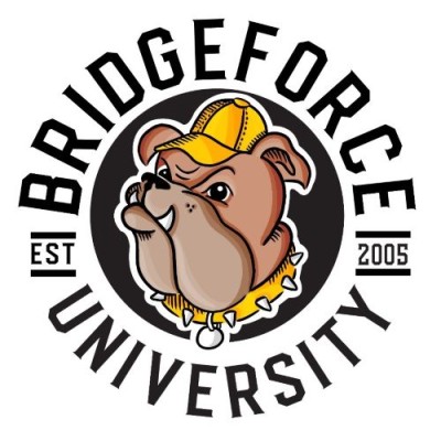 BridgeForce Financial Inc.'s Logo