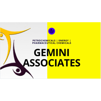 Gemini Associates Group's Logo