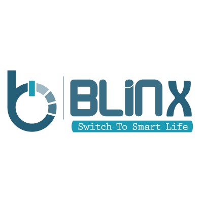 BLINX INDIA PVT LTD's Logo