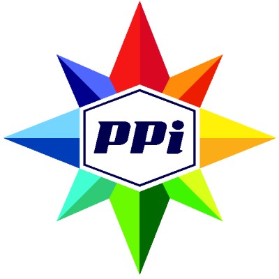 PPi Software and Services's Logo