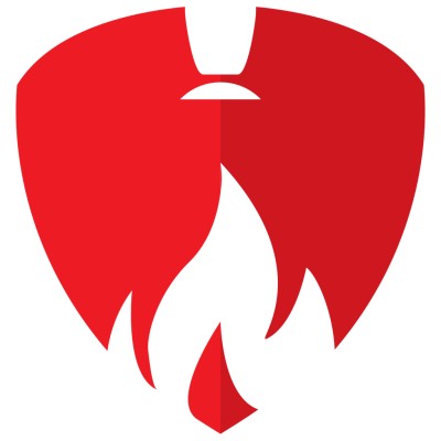 Eversafe Fire Protection's Logo