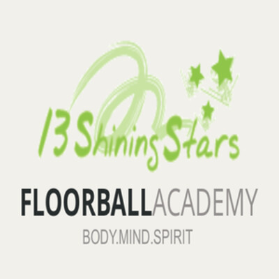 13 Shining Stars LLP's Logo