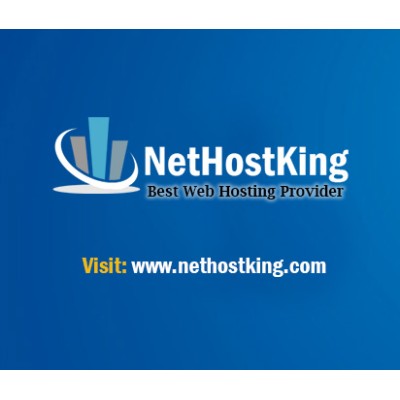 NetHostKing's Logo