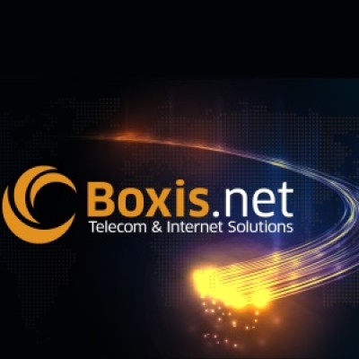 Boxis group's Logo