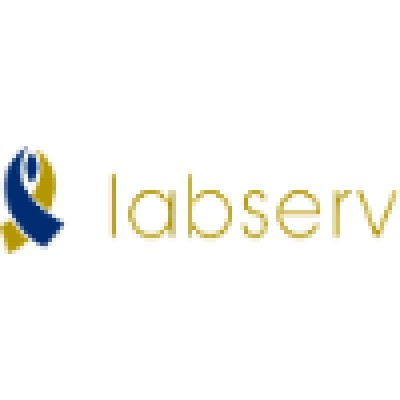 LABSERV's Logo