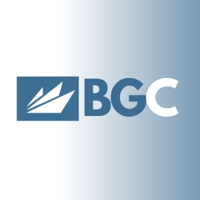 BridgeGroup Consultants 's Logo