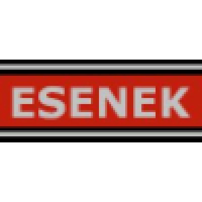 Esenek Consulting and Training Ltd.'s Logo