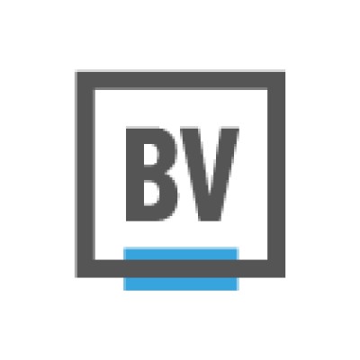 BrandVerity's Logo