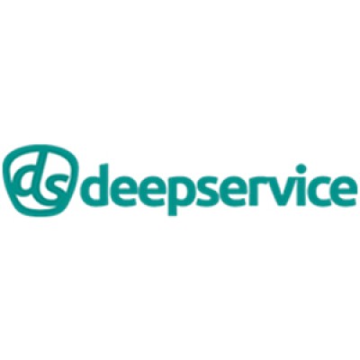 Deepservice Consulting's Logo