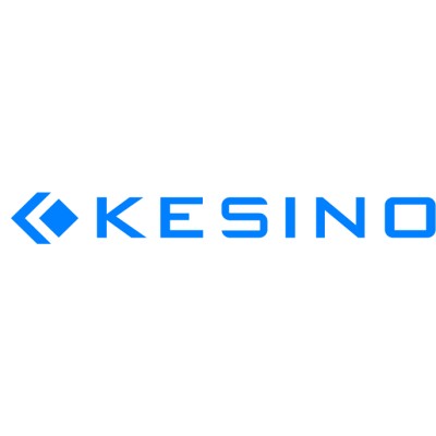 Beijing Kesino Engineering Techonology Co. Ltd.'s Logo