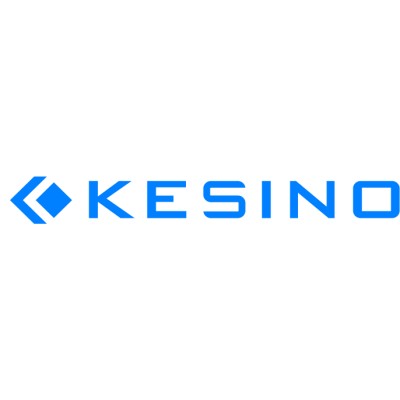 Beijing Kesino Engineering Techonology Co. Ltd.'s Logo