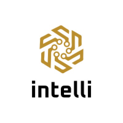 intelli Mining LLC's Logo