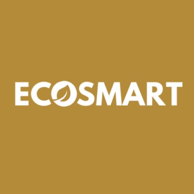 ecosmart.biz's Logo