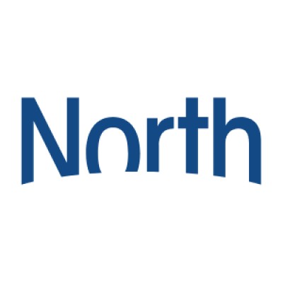 North Strategic's Logo