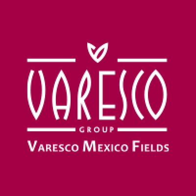 Varesco Mexico Fields's Logo