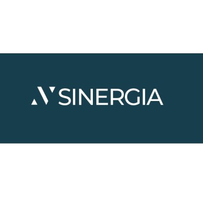 VYNSINERGIA's Logo