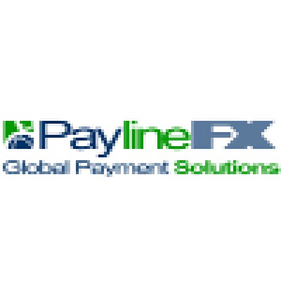 Payline Financial's Logo