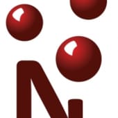 NanoMetallis's Logo