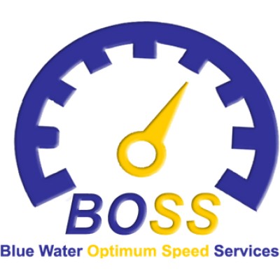 BOSS Voyage Optimization's Logo